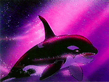 PNG Whale